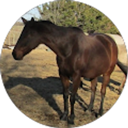 Profile photo of Leslie Chaffin