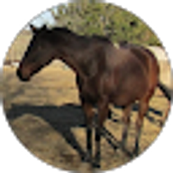 Profile photo of Leslie Chaffin