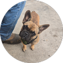 Profile photo of Android User