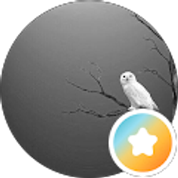 Profile photo of Lacey M