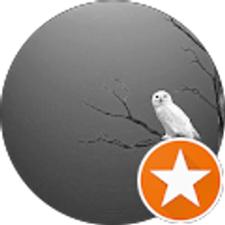 Profile photo of Lacey M