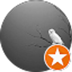 Profile photo of Lacey M