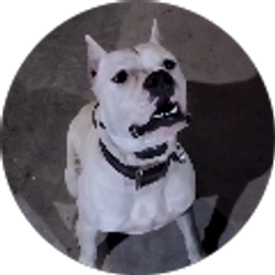 Profile photo of Adrian Chavira