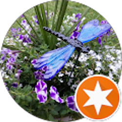 Profile photo of Jan Petz