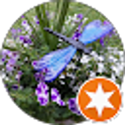 Profile photo of Jan Petz