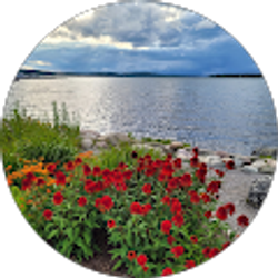 Profile photo of Shelli Lopez