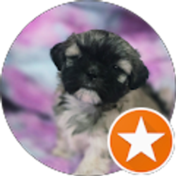 Profile photo of Courtney Nicole