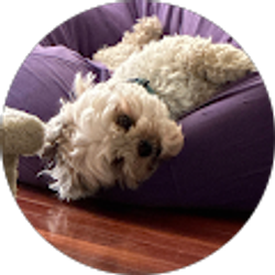 Profile photo of Bruce Silver