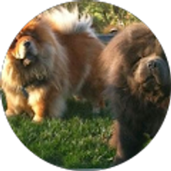 Profile photo of Linda Leichtfuss