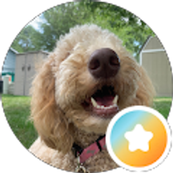 Profile photo of Meg