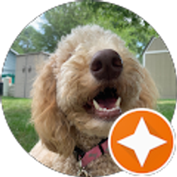 Profile photo of Meg