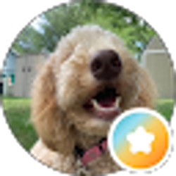 Profile photo of Meg