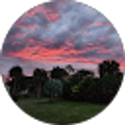Profile photo of JSE