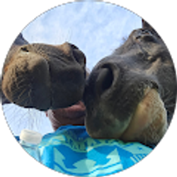 Profile photo of Sandy Carter