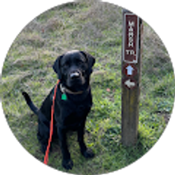 Profile photo of T. Scott Peterson