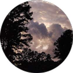 Profile photo of Carbon Being