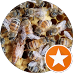 Profile photo of Charles McAdams