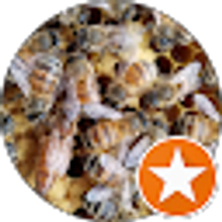 Profile photo of Charles McAdams