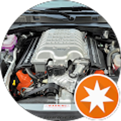 Profile photo of Lisa Bersani