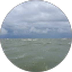 Profile photo of Deena