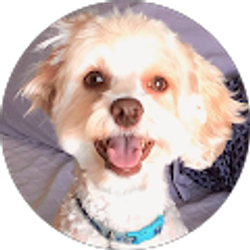 Profile photo of Carole R.