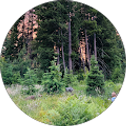 Profile photo of Miranda Hinkle