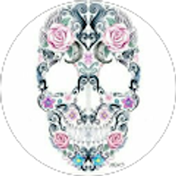 Profile photo of Alejandra Arechiga