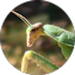 Profile photo of christine vibbert