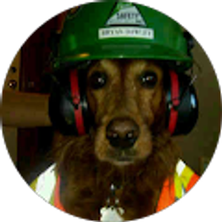 Profile photo of Tom Dawley