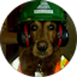 Profile photo of Tom Dawley
