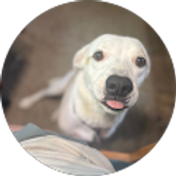 Profile photo of Rebecca Smith