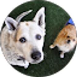 Profile photo of Dawna Caldwell