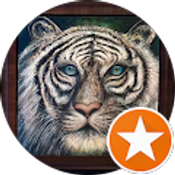 Profile photo of Lanette Marie Scherr