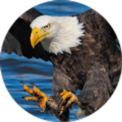 Profile photo of Brian S