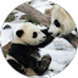 Profile photo of mynameisnotPHWONG