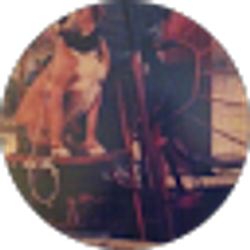 Profile photo of aappotrse