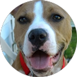 Profile photo of Jennifer Steele