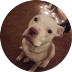 Profile photo of Jamie Martin