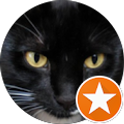 Profile photo of Howard Lee