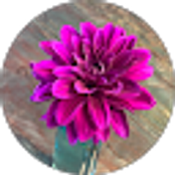 Profile photo of Mary Rockland