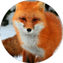 Profile photo of Natalie Foxy