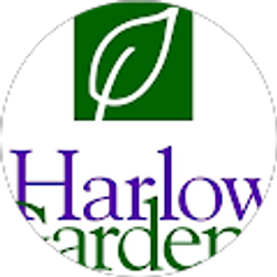 Profile photo of John Harlow