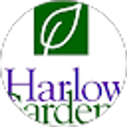 Profile photo of John Harlow
