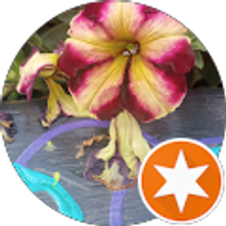 Profile photo of lilly thorn