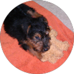 Profile photo of Paula Mengel