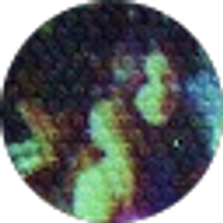 Profile photo of Debbie Jo Bell
