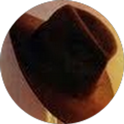 Profile photo of Jeffrey Fossett