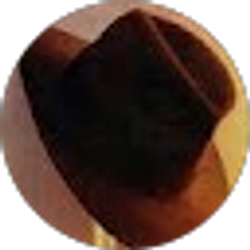 Profile photo of Jeff Fossett