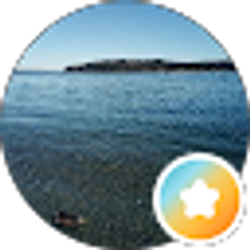 Profile photo of SD R