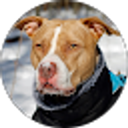 Profile photo of Matt Richards